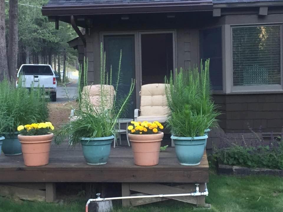 Chauna McAuliffe's album, Timeline Photos