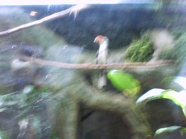 DSC00011