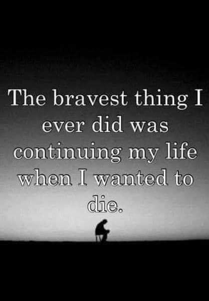Sharon Pascoe's album, Timeline photos