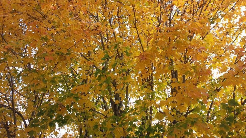 Keith Surber's album, Timeline Photos