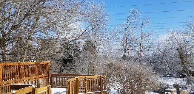 Beth Leonard's album, Timeline Photos