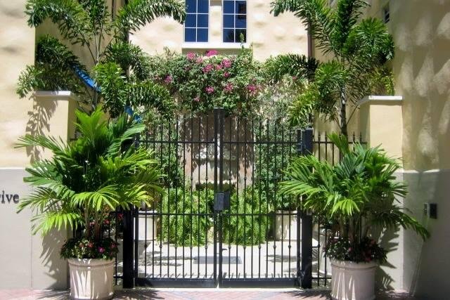 Picturesque Floral Gate along Beach Drive in Downtown St. Pete.