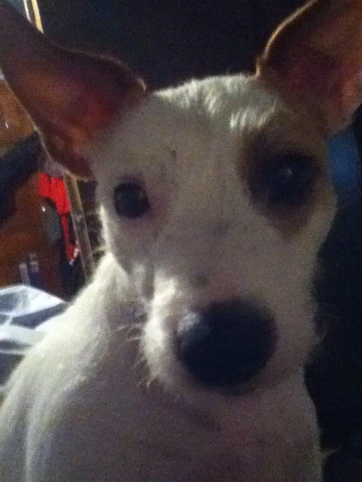 Mommies taken my picture