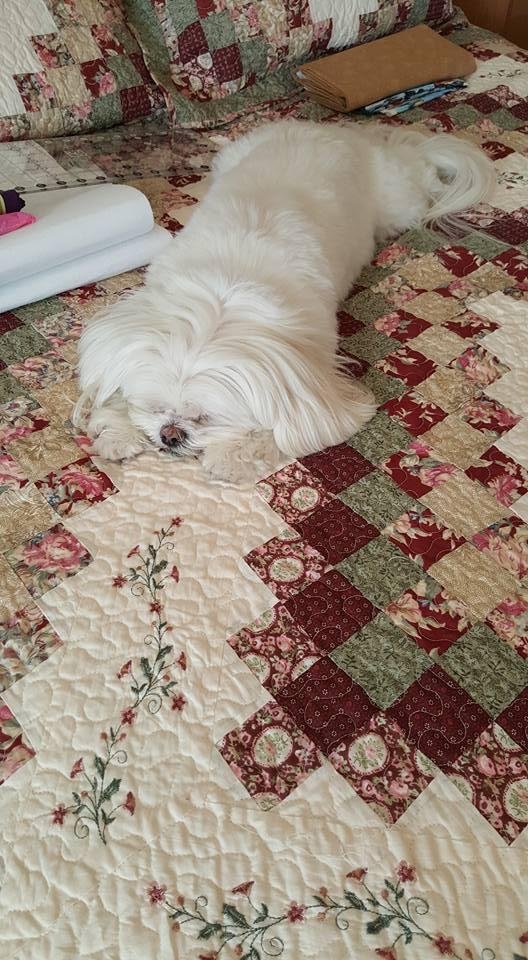 Helping mommy quilt