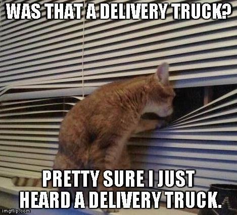 Kevin Allen's album, Timeline Photos