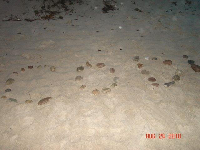 Deborah Damelio's album, Cape Cod
