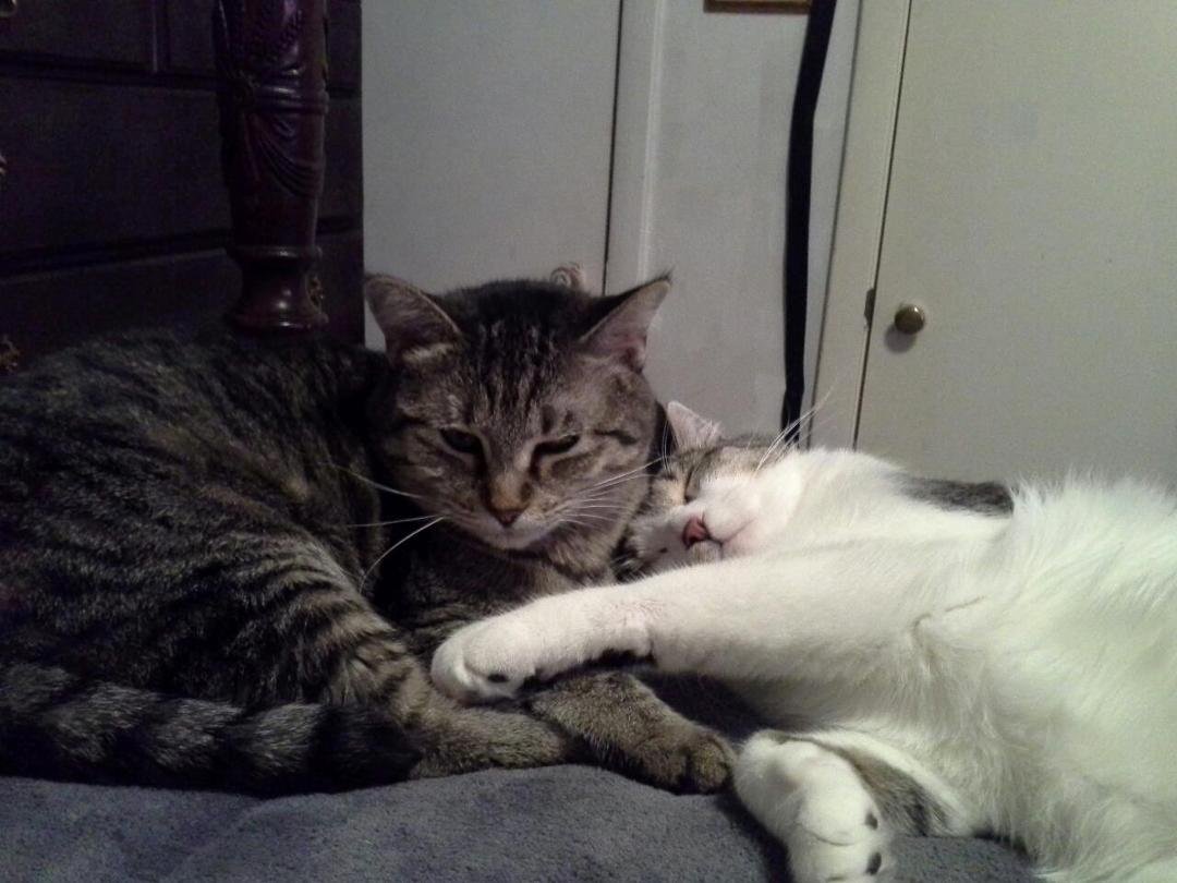 Mr Spotters wuvs hims momma!
