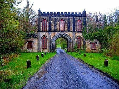 Inside Lough Key Forest Park, County Roscommon, Ireland.