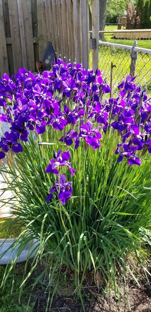 David Bishop's album, Timeline photos