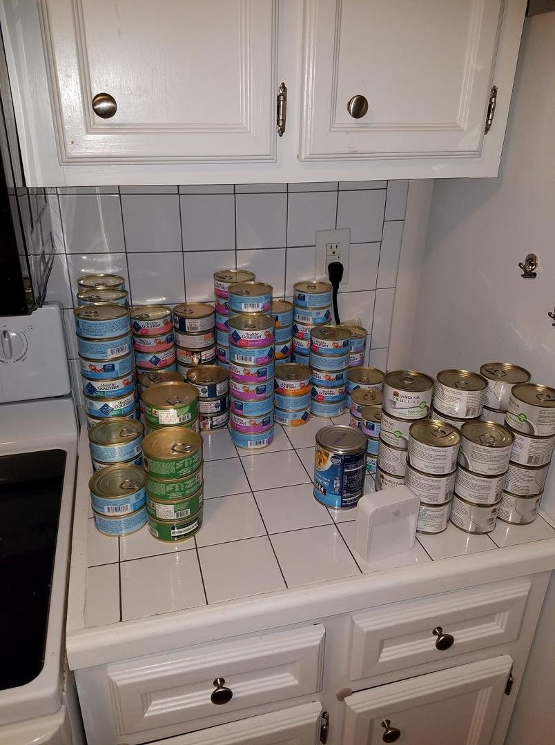 Heather was prepared for hurricane Michael