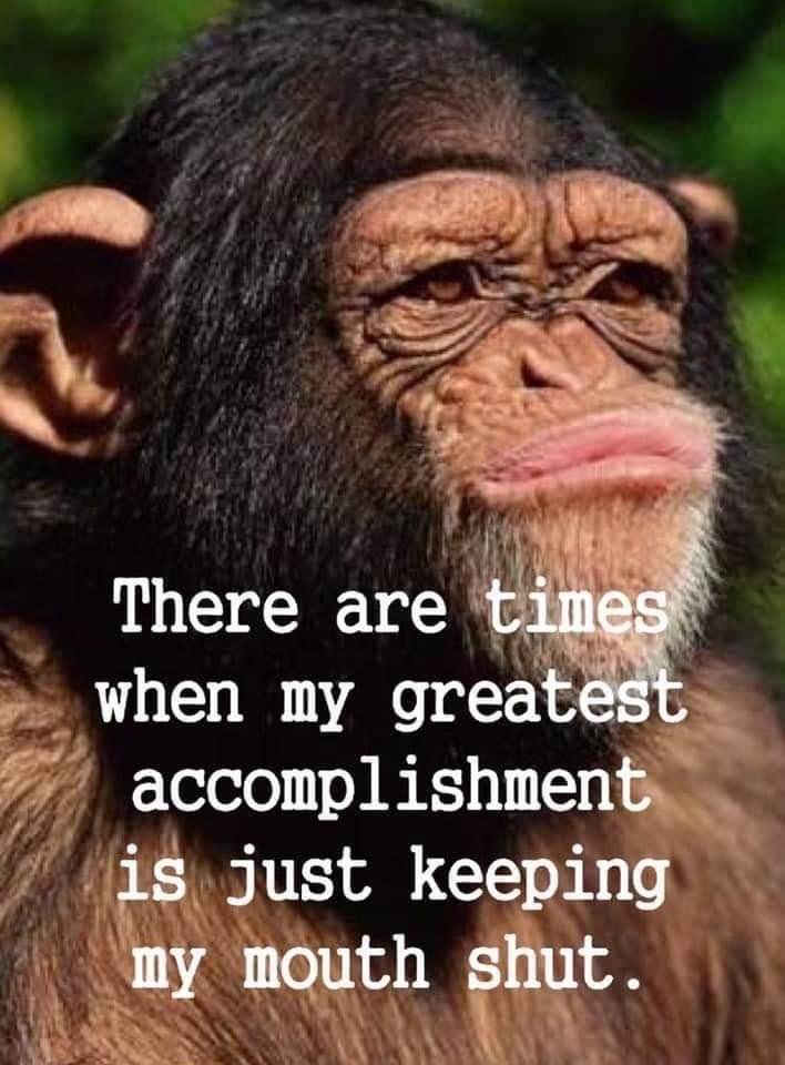 Have a great rest of your week