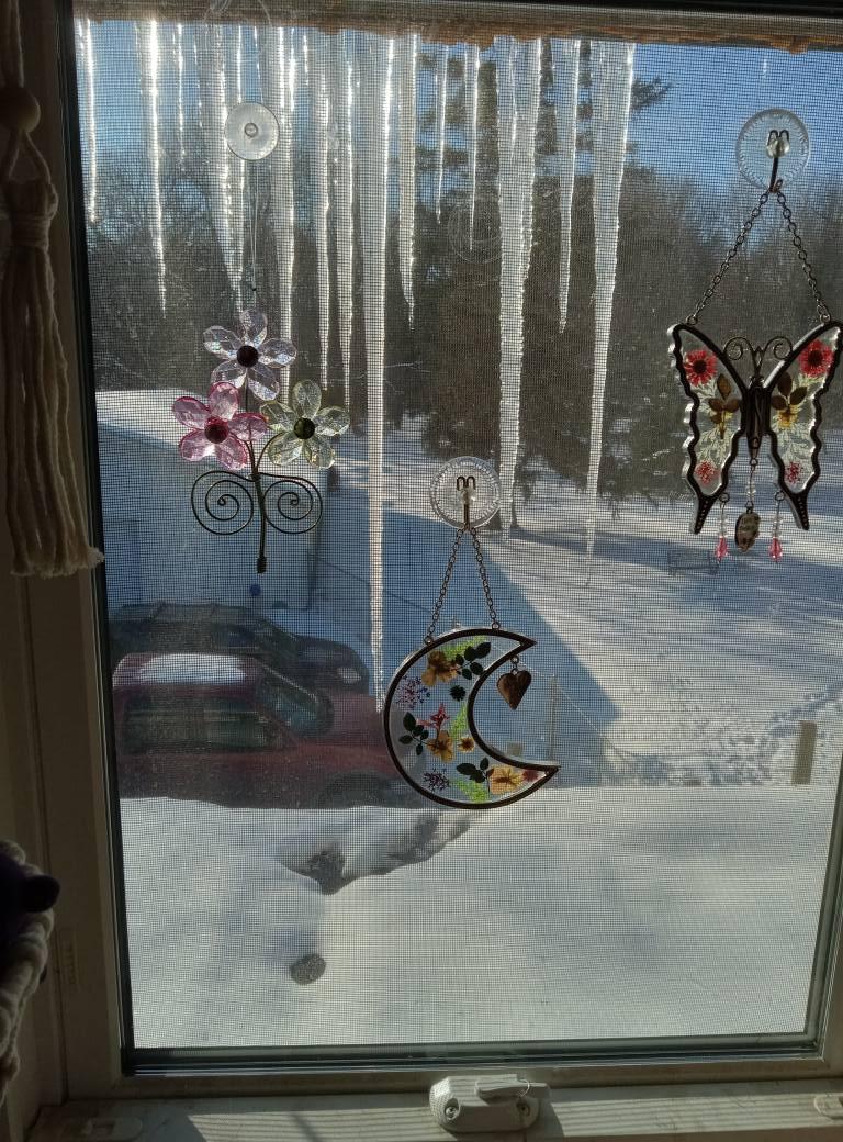Lois Webb-Payette's album, Mobile uploads