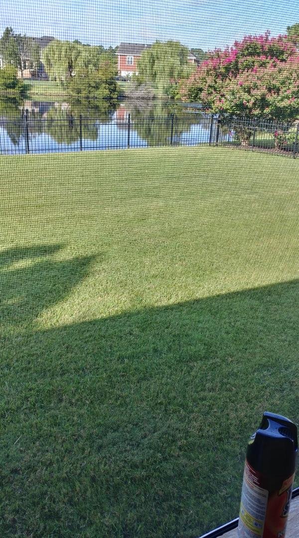 While sitting on my deck overlooking my backyard that my brother had cut and trim for me yesterday did a very good job I appreciate it bro