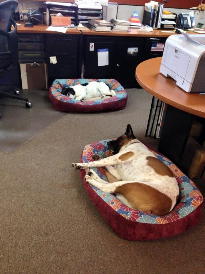 Another rough day at the office wake us up when it is "Miller Time "