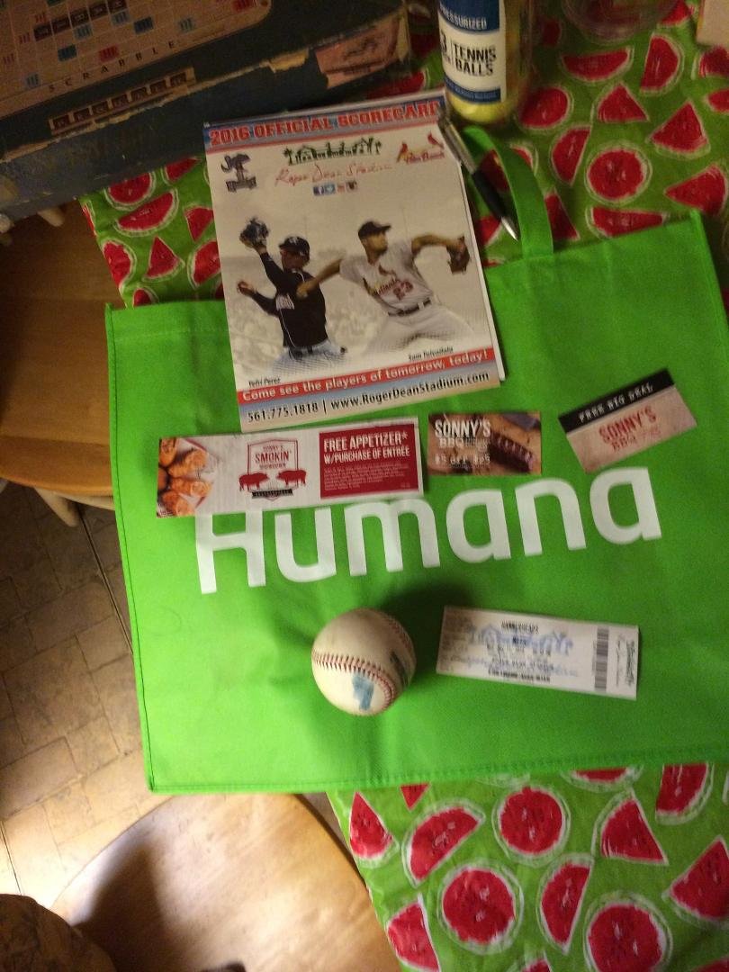 Went to a baseball game tonight at Roger Dean stadium in Jupiter. Caught a foul ball, won gift card for Sonnys bbq and a bag from Humana. Had s lot of fun.