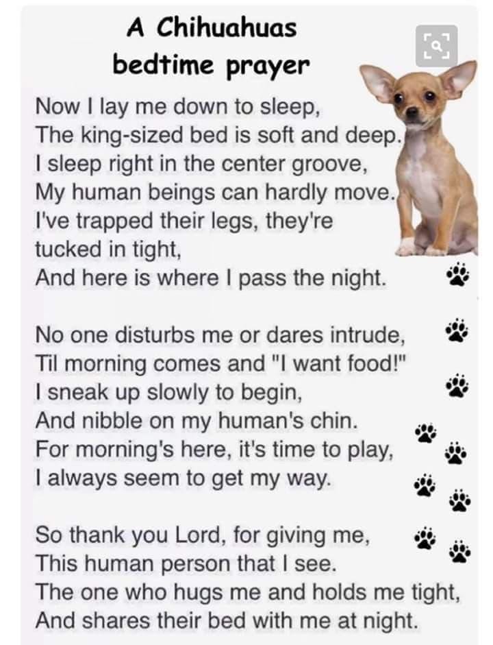 Deborah Kaiser's album, Timeline photos