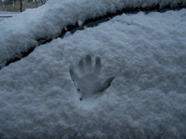 Linda's hand print on car.  About 5 inches by now..
Still more to come