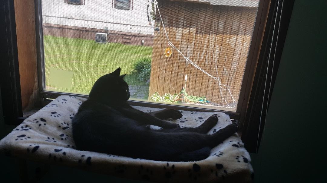 Dinky, upon her throne.