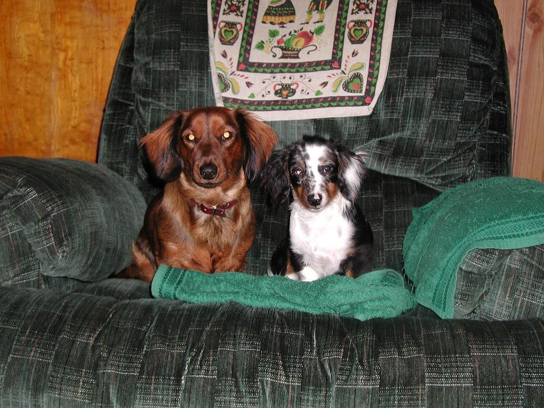 Joan sitkowski McElwee's album, Timeline Photos