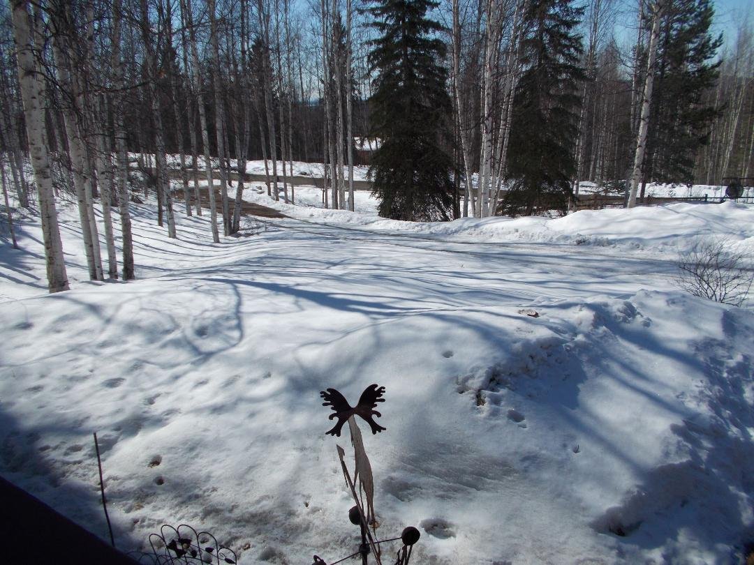 Our front yard and drive way.....May 5th....really??