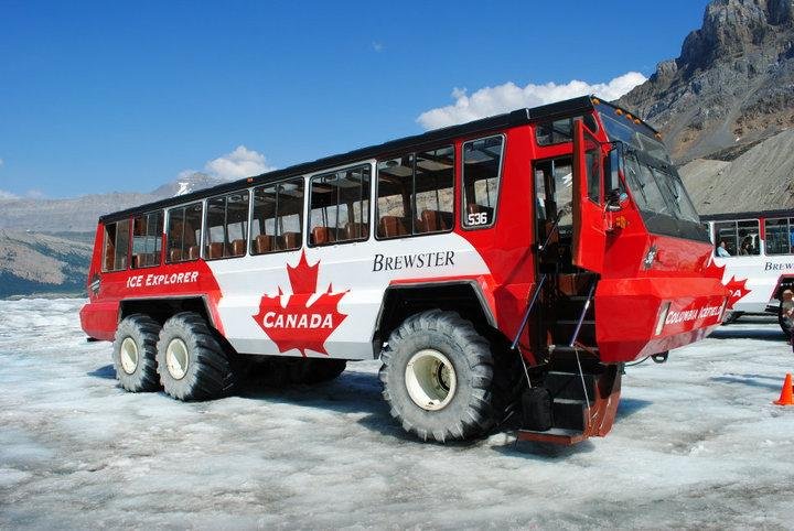 Steven Thomas' album, Canada 2010