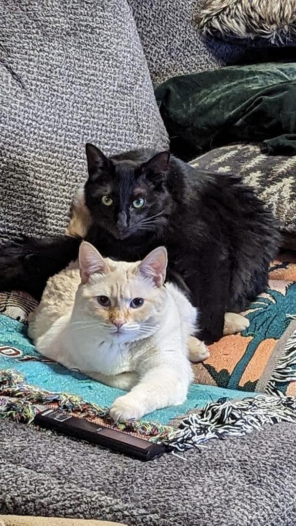 Sami and Bucky's latest photo