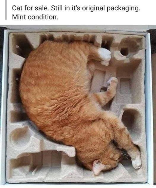 Cynthia Harwell's album, Timeline Photos