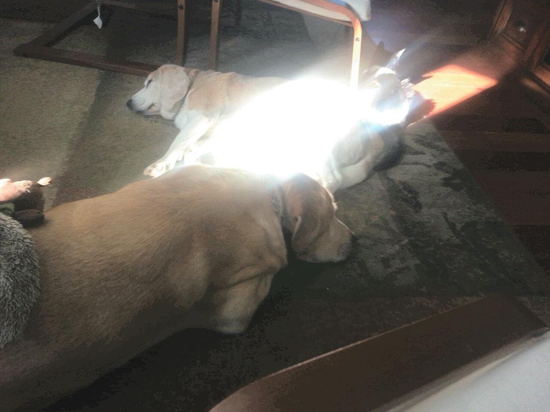 It's a sunbeam kinda morning