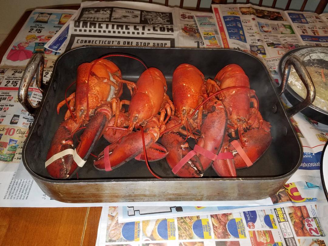Gonna be lobster rolls!