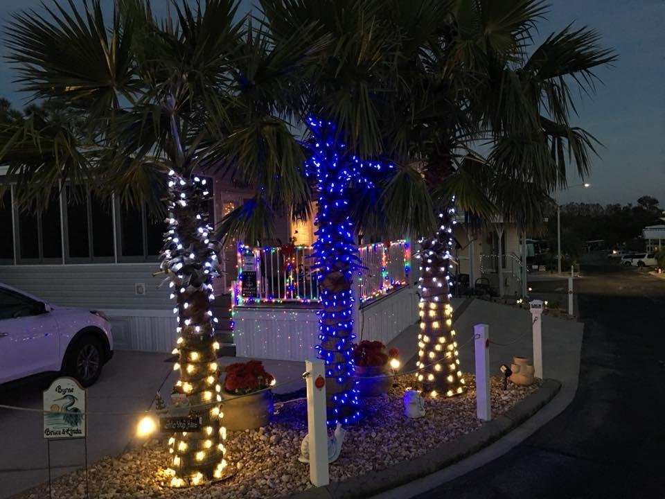 The fruit of my labor and bloodletting working around the palms was worth it!