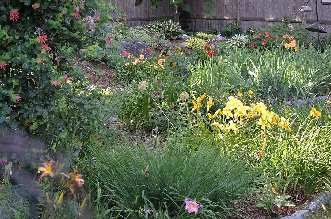 Toward the Rock Garden and Iris bed.