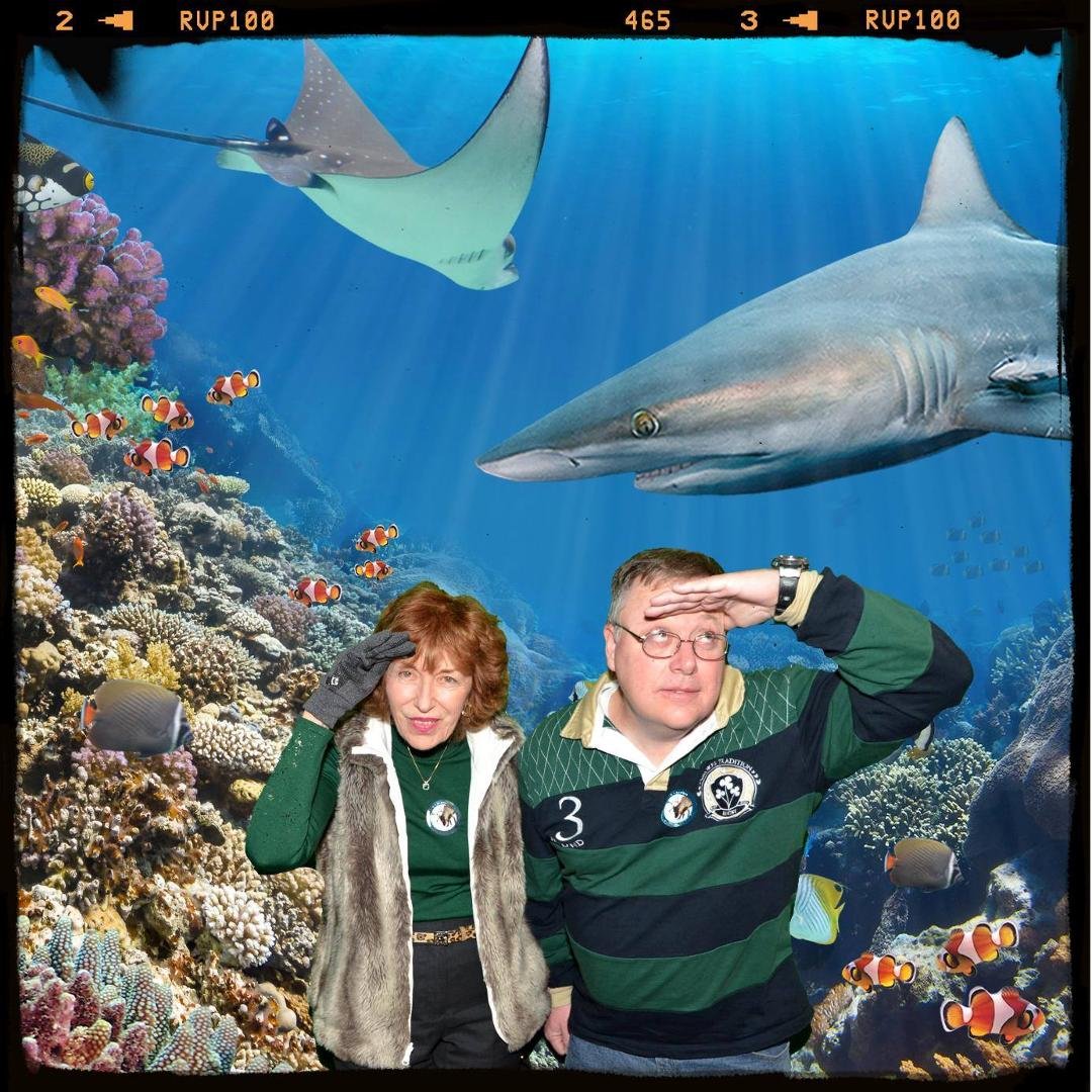 Over the holiday went to the San Francisco California Academy of Sciences with my son Brian. We are looking for a way out of the shark tank.