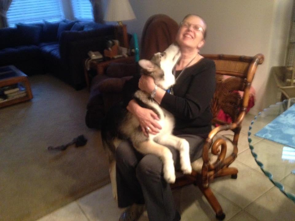 Steven Franek's album, Mobile Uploads