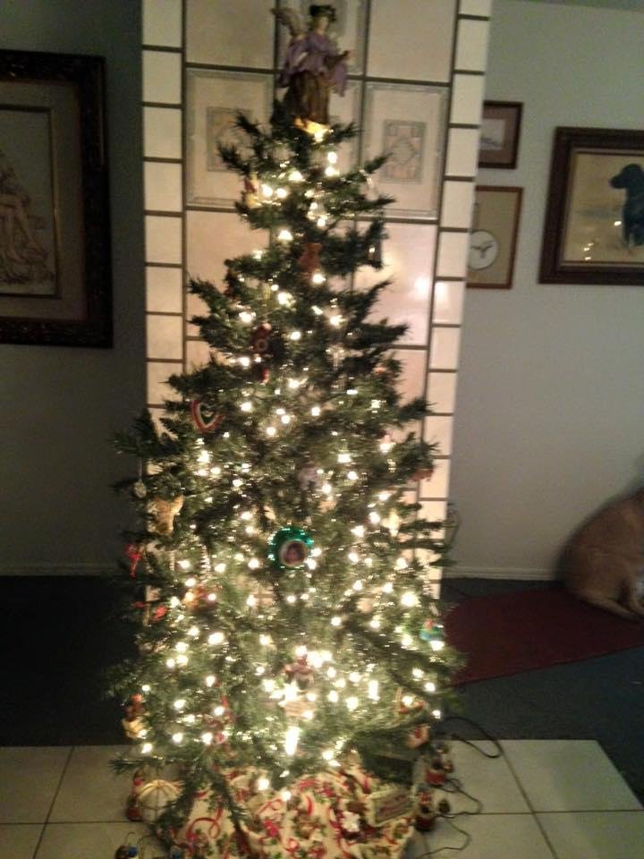 Cindy Maxon's album, Mobile Uploads