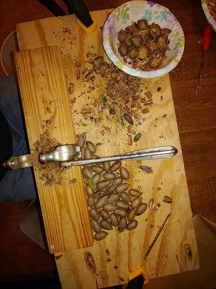Mike Raley's album, Mobile Uploads