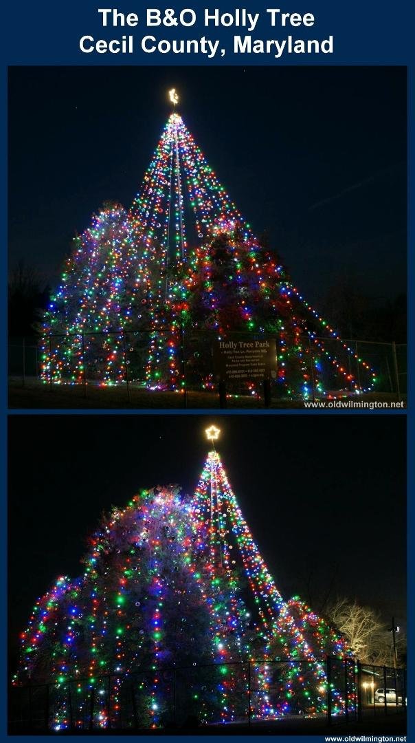 The B&O Holly Tree, Cecil County, Maryland - 2014