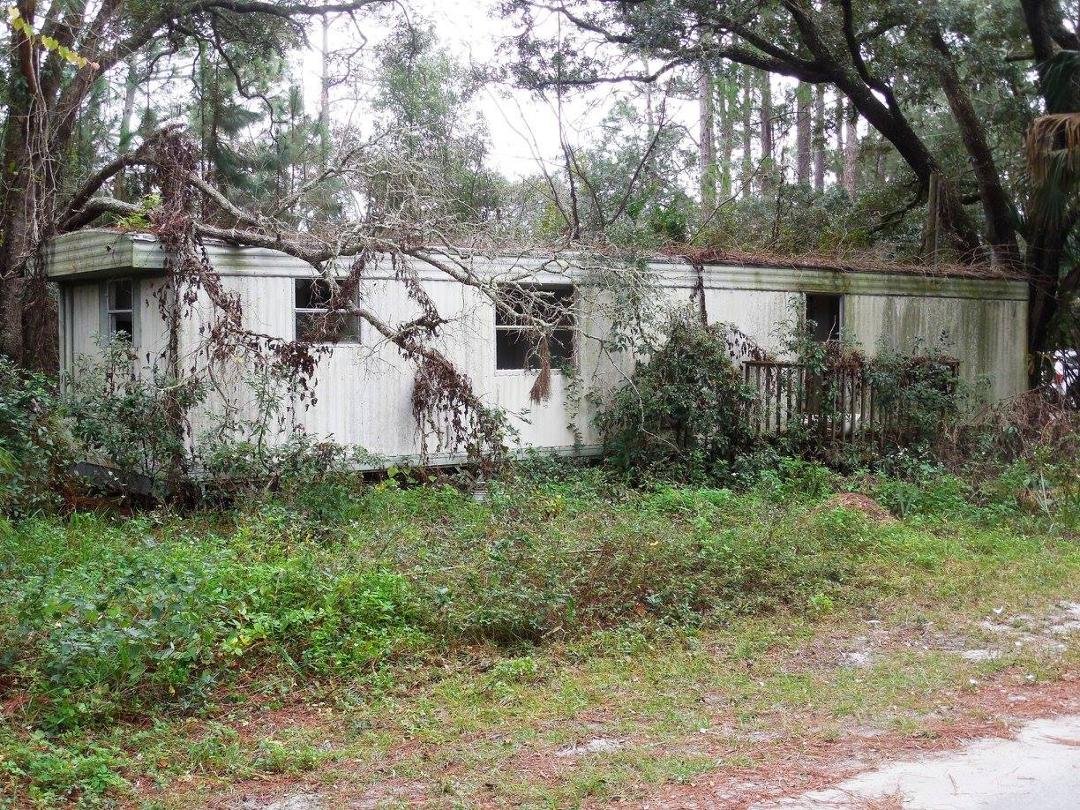 Mike Matterson's album, My New Florida Neighborhood