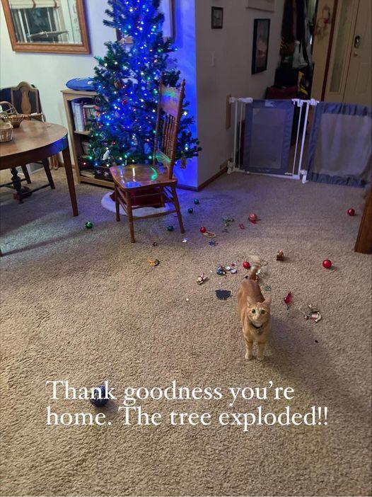 Robert Devillier's album, Timeline photos