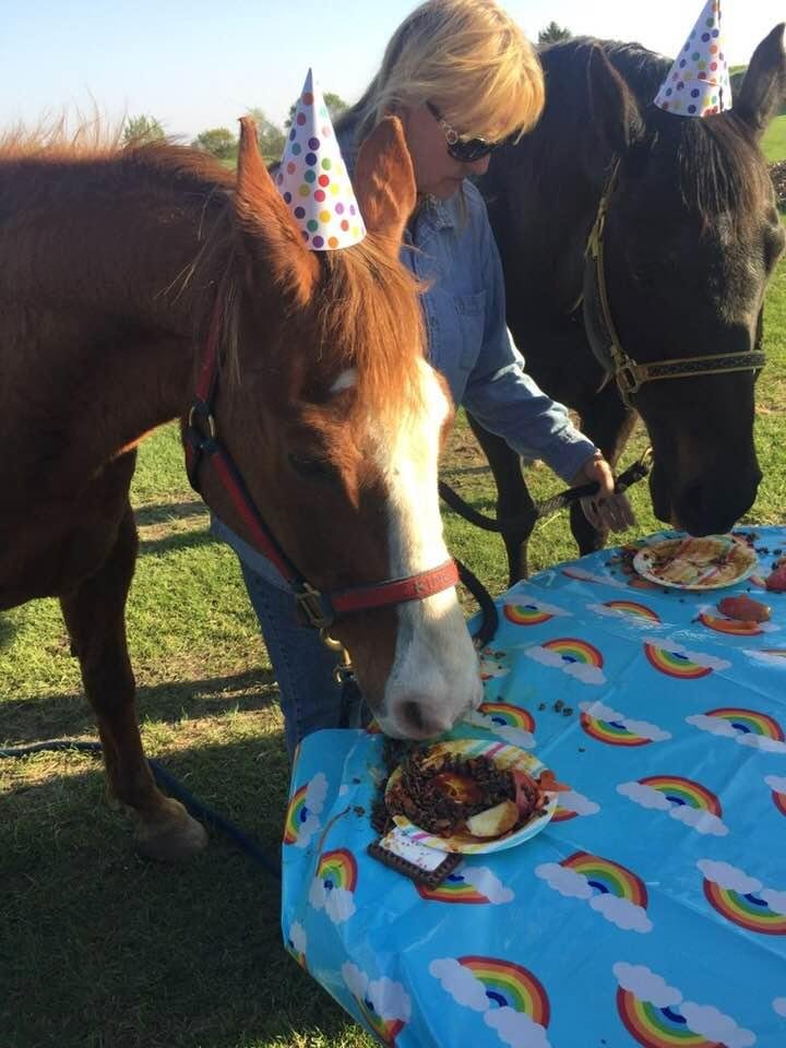 Horse birthday party.....