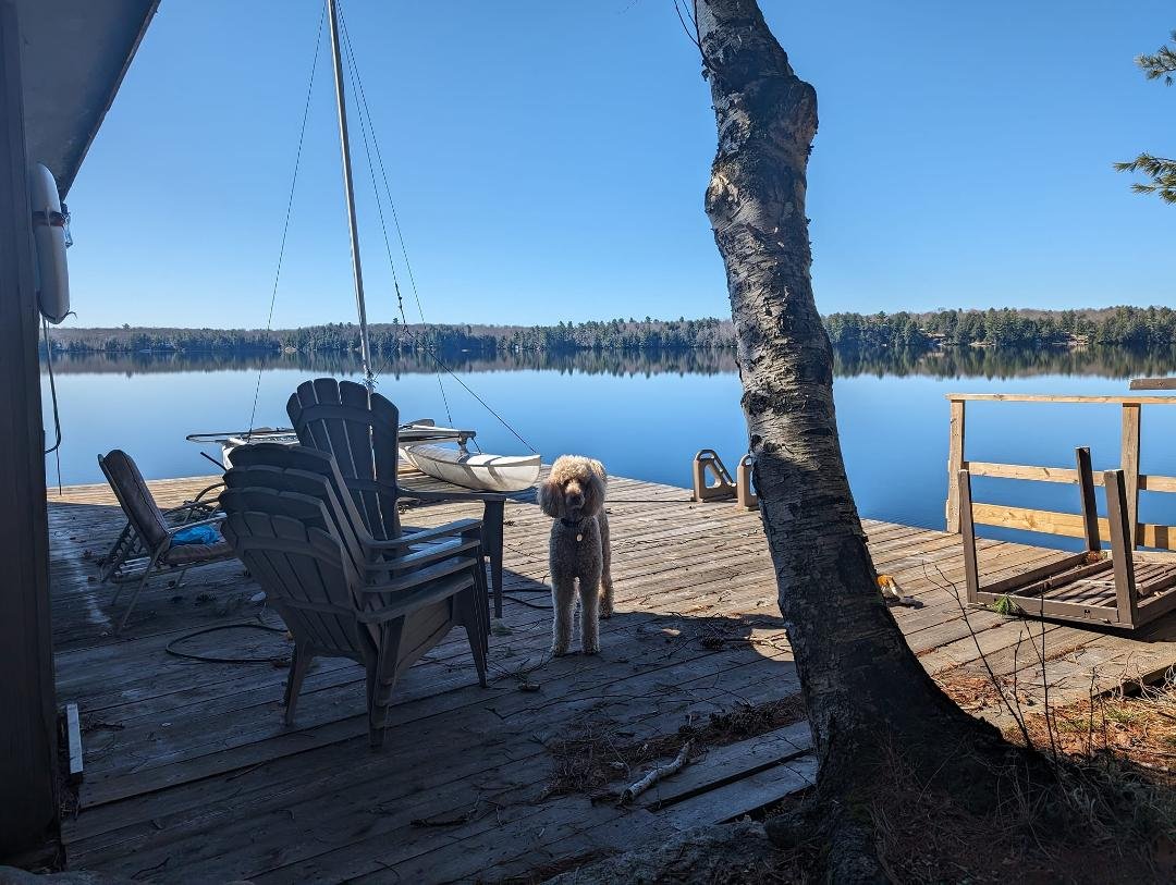 Loving this weather at the cottage