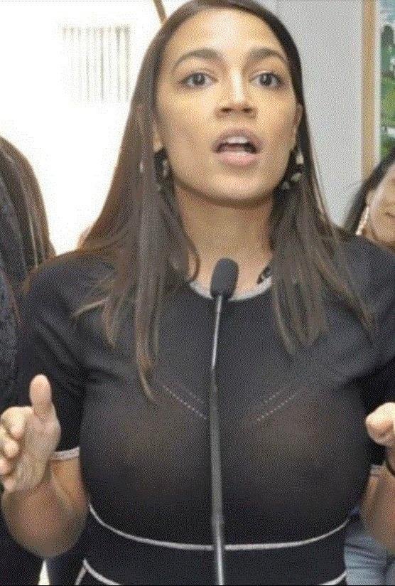 I knew she would have a great job in Porn after Politics
