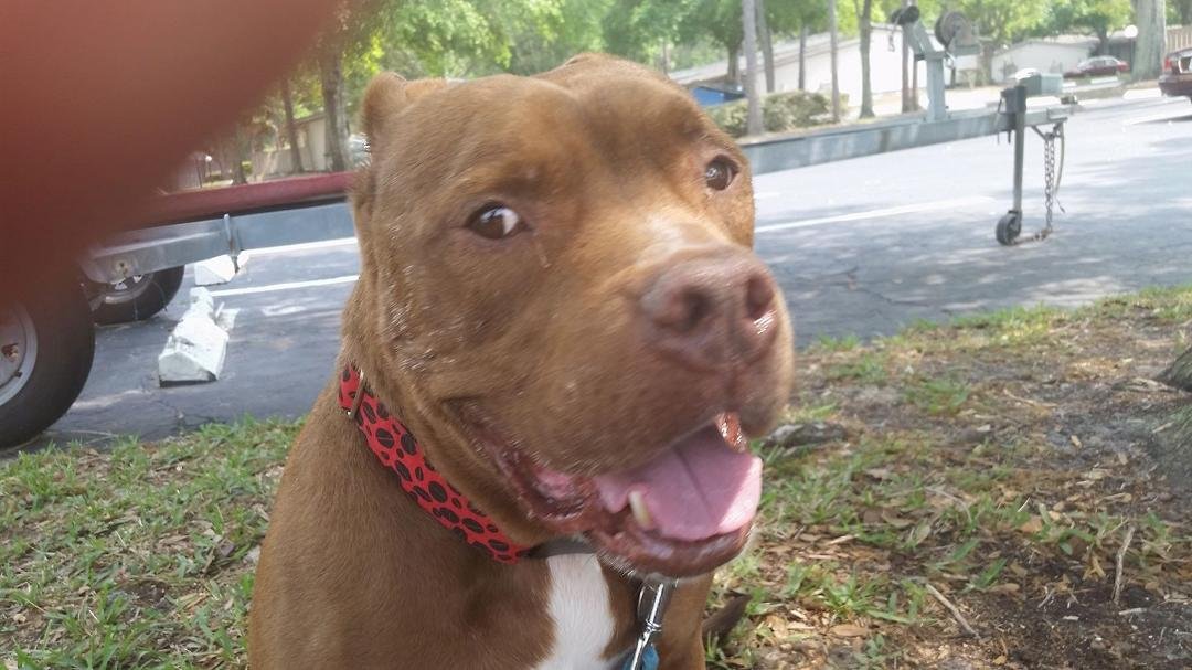 Did I hear a kitty???