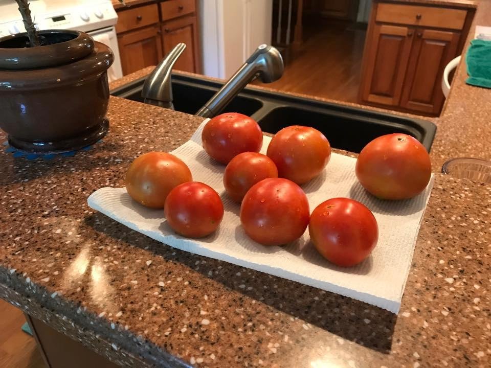 Tonight’s pickins from the garden.