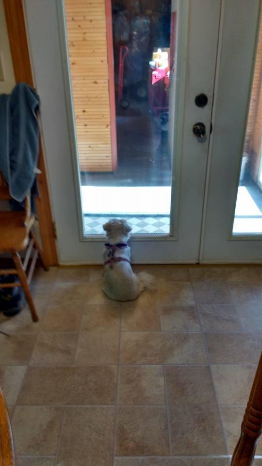 Waiting for daddy to come home