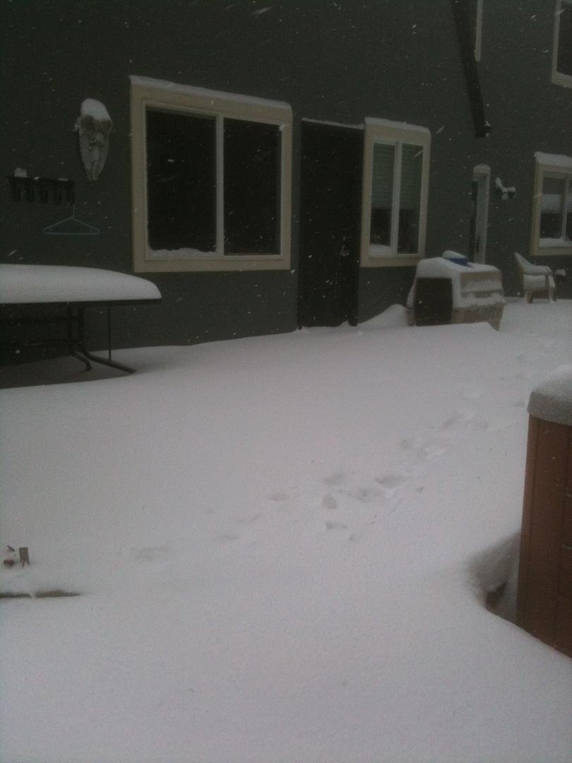 Mike Rabe's album, SNOW STORM 2014