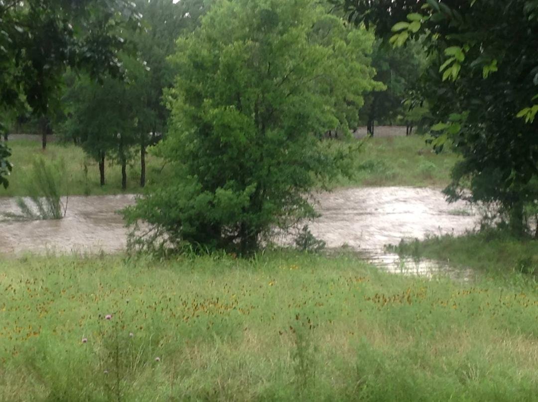 Seems I had a river in my back yard for a while last night after the storm! Sure was pretty...