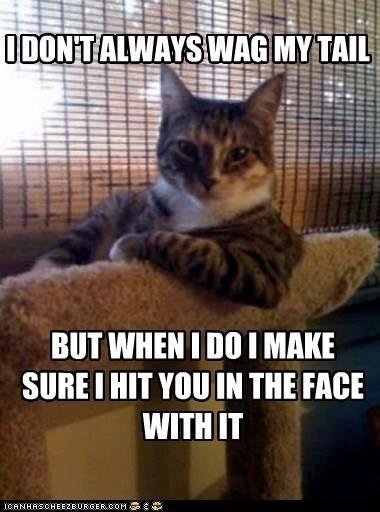 Robert Friedman's album, Timeline Photos