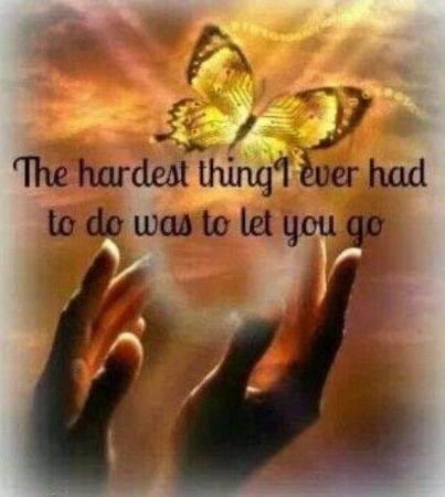 This is in remembrance of my beautiful wife Conni.  It's been 1 year since her passing.  Seems like yesterday.