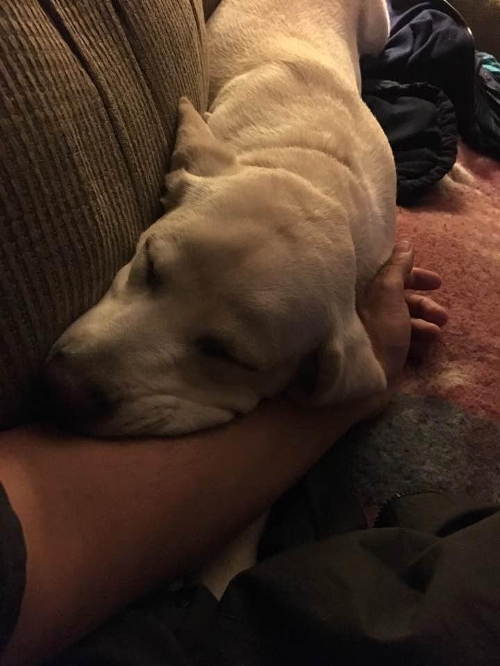 Well she's comfortable ....