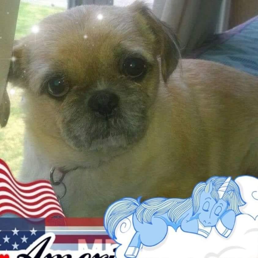 Happy Veterans Day...thank you for your service...🤗🇺🇸💗